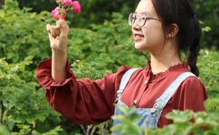 野结衣波多片子截图